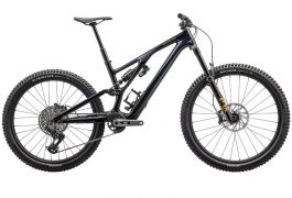 2024 Specialized Stumpjumper EVO Expert T-Type MTB