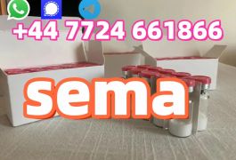 910463-68-2 Semaglutide weight loss Peptide