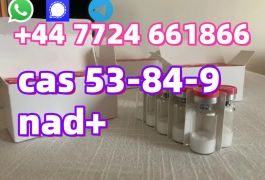 CAS:53-84-9 NAD+