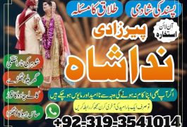 karachi #1 Amil baba in kuwait, dubai, italy,…