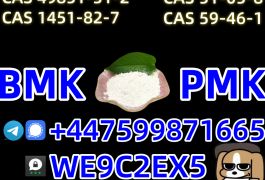 New PMK Oil CAS 28578-16-7 /1369021-80-6