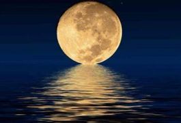 +27833895606 Effective Lost Love spells that works