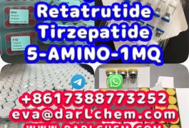 Semaglutide 5-AMINO-1MQ Retatrutide 910463-68-2 …