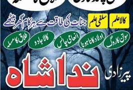 Amil baba in sarghodha astrologer in uk usa…