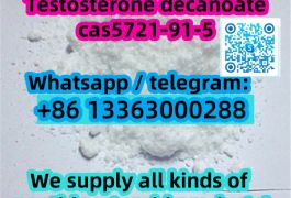Testosterone decanoate cas 5721-91-5
