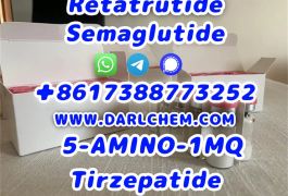 Semaglutide 5-AMINO-1MQ Retatrutide 910463-68-2 …