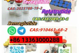High Quality Cagrilintide Powder Cagrilintide CAS…
