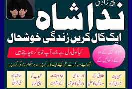 karachi #1 Amil baba in kuwait, dubai, italy,…