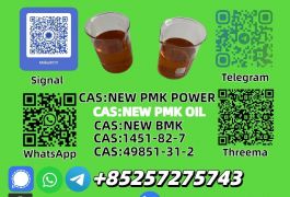 Top-Selling New P.M.K Oil 28578-16-7 Wholesale