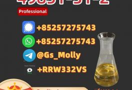 Best Price B M K Oil 49851-31-2 – High Purity |…