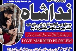 karachi #1 Amil baba in kuwait, dubai, italy,…