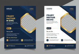 looking For Working Business Partner