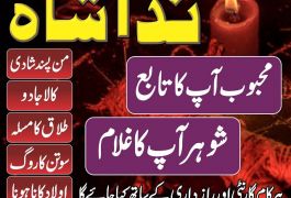 amil baba in pakistan uk usa canada america…