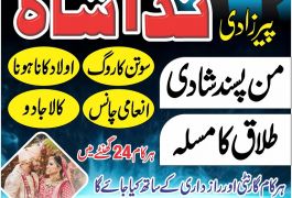 Amil baba in sarghodha astrologer in uk usa…