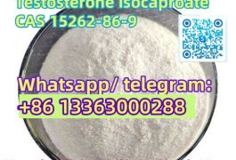 Testosterone isocaproate cas15262-86-9
