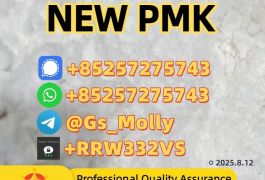 High-Quality P M K Glycidate 28578-16-7 Wholesale