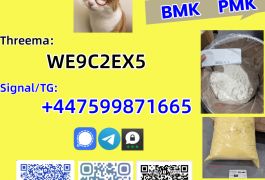 New PMK Oil CAS 28578-16-7 /1369021-80-6