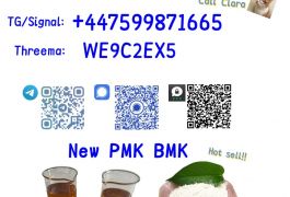 CAS 49851-31-2 CAS 1451-82-7