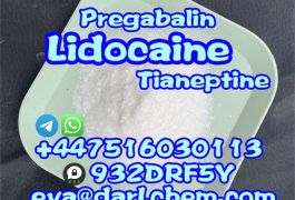 99% Lidocaine Powder CAS 137-58-6 Factory …