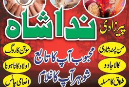 Amil baba in sarghodha astrologer in uk usa…